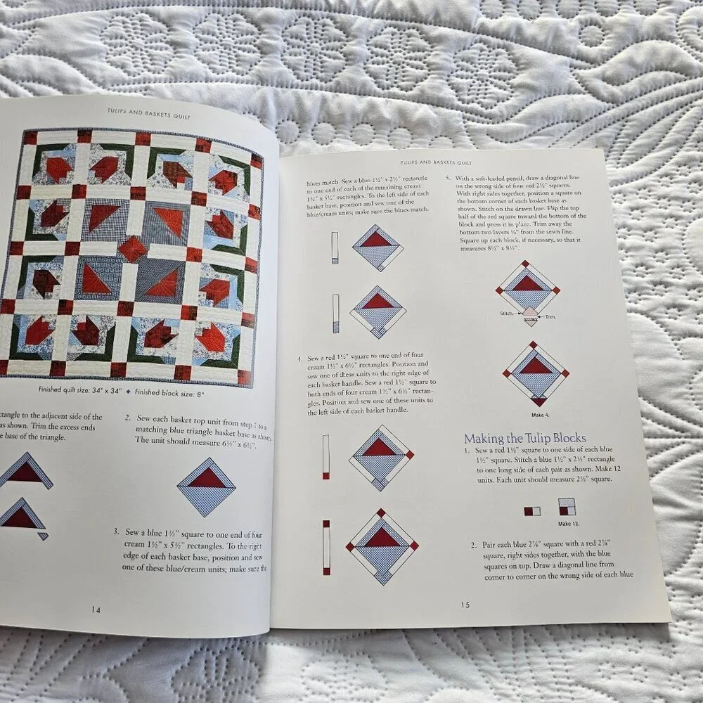 Summertime Quilts Book By Patti Eaton Fresh Designs In Chenille Martingale